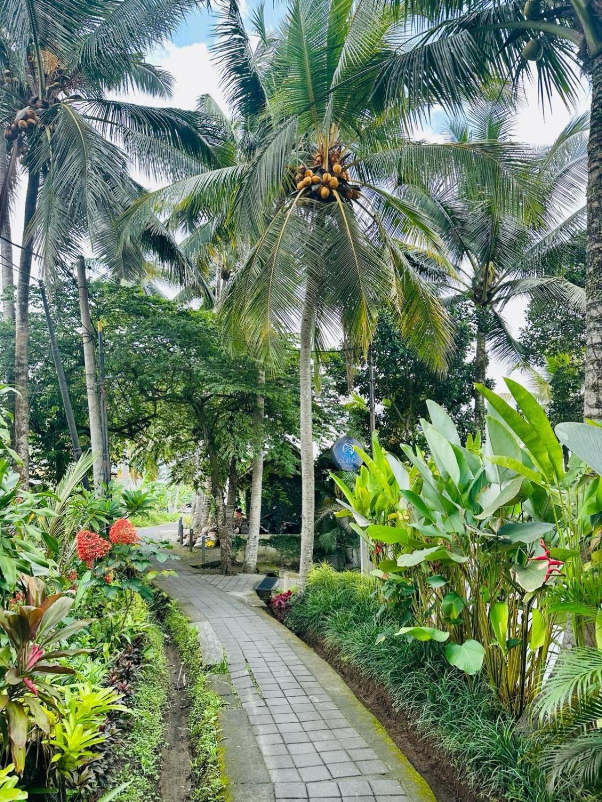 Villa Olirine By Balisuperhost Убуд Екстер'єр фото